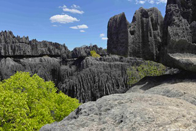Les tsingy de Bemaraha, Madagascar