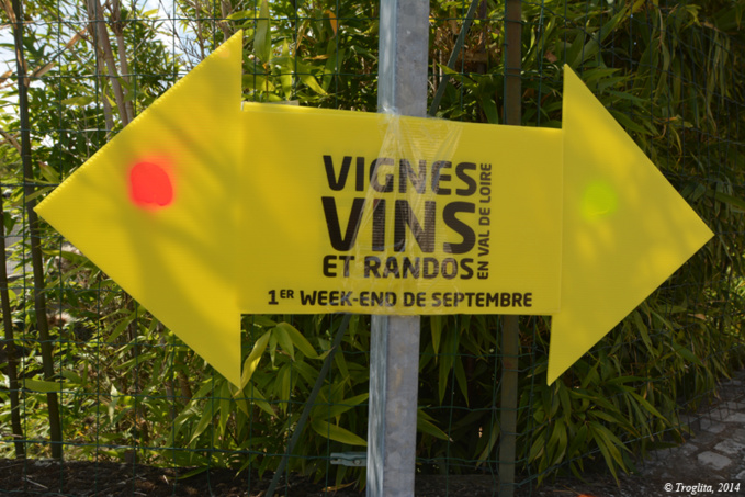 Vignes, vins et randos, 2014